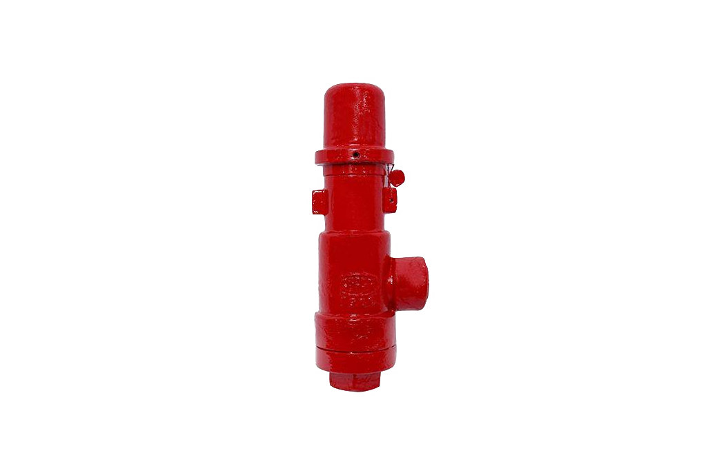 Safety Relief Valves manufacturer in Goa