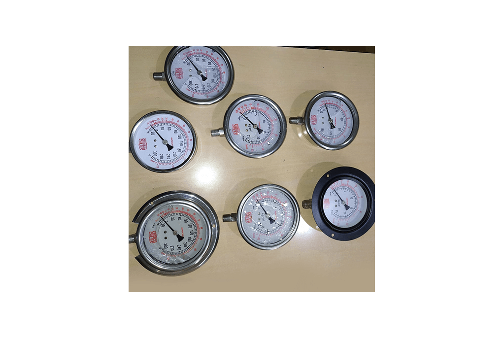 Pressure Gauges For Ammonia manufacturer in Goa