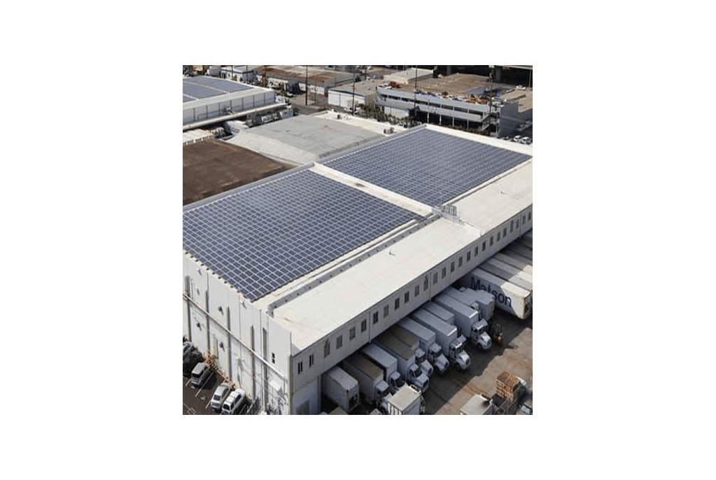 Roof Top Solar Solution For Cold Storages manufacturer in Goa