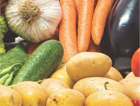 Food & Agriculture Industry