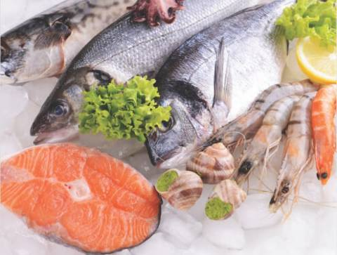Refrigeration Systems For Meat, Poultry & Sea Food Industry